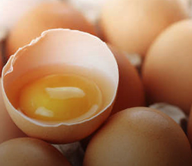 ปลดความเชื่อ คอเรสเตอรอลในไข่ไก่